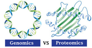 基因组学与蛋白质组学的差异