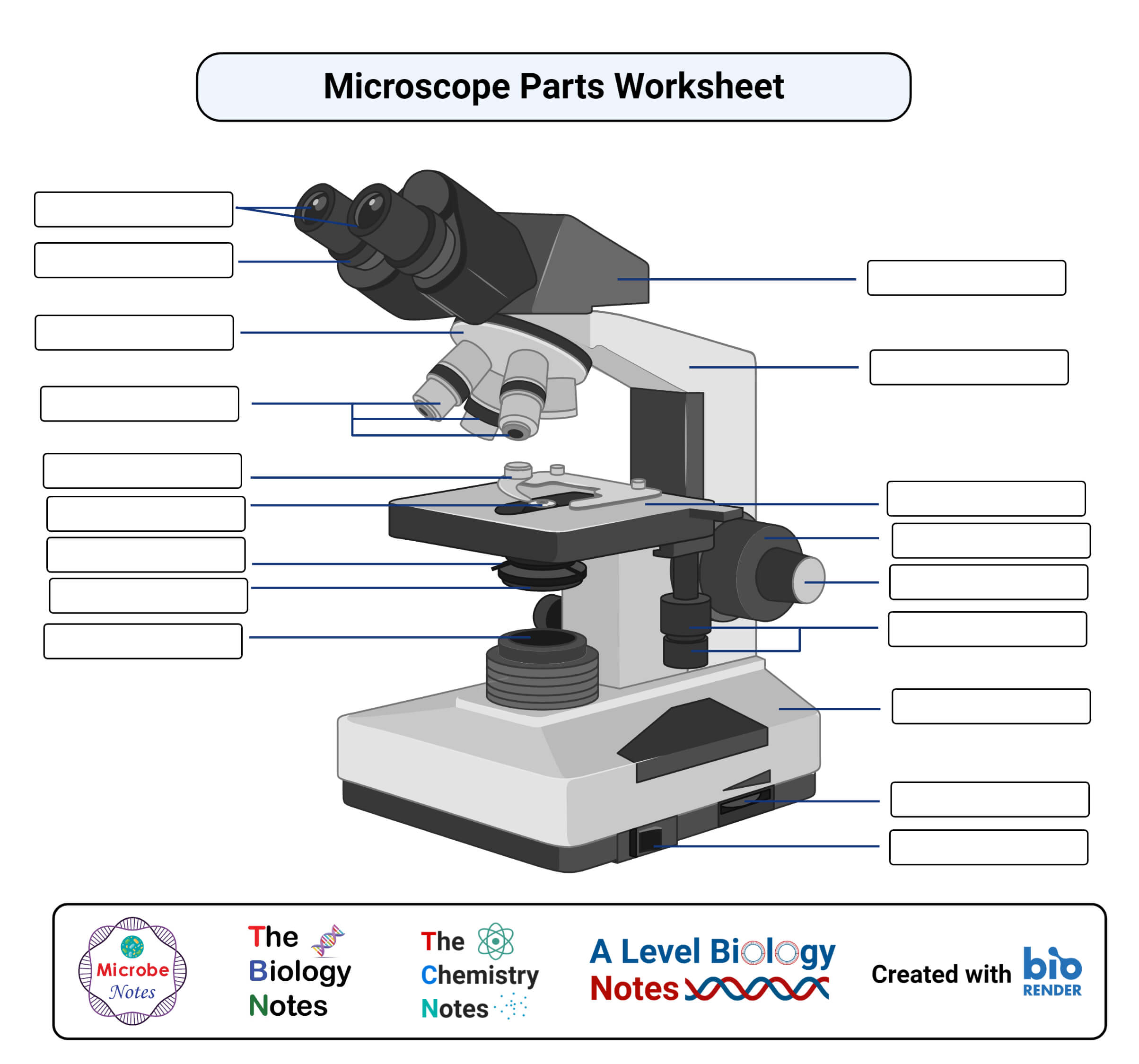 光显微镜工作表