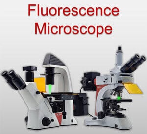 Fluorescence Microscope from LEAM Solution Inc