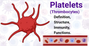 血小板(Thrombocytes)