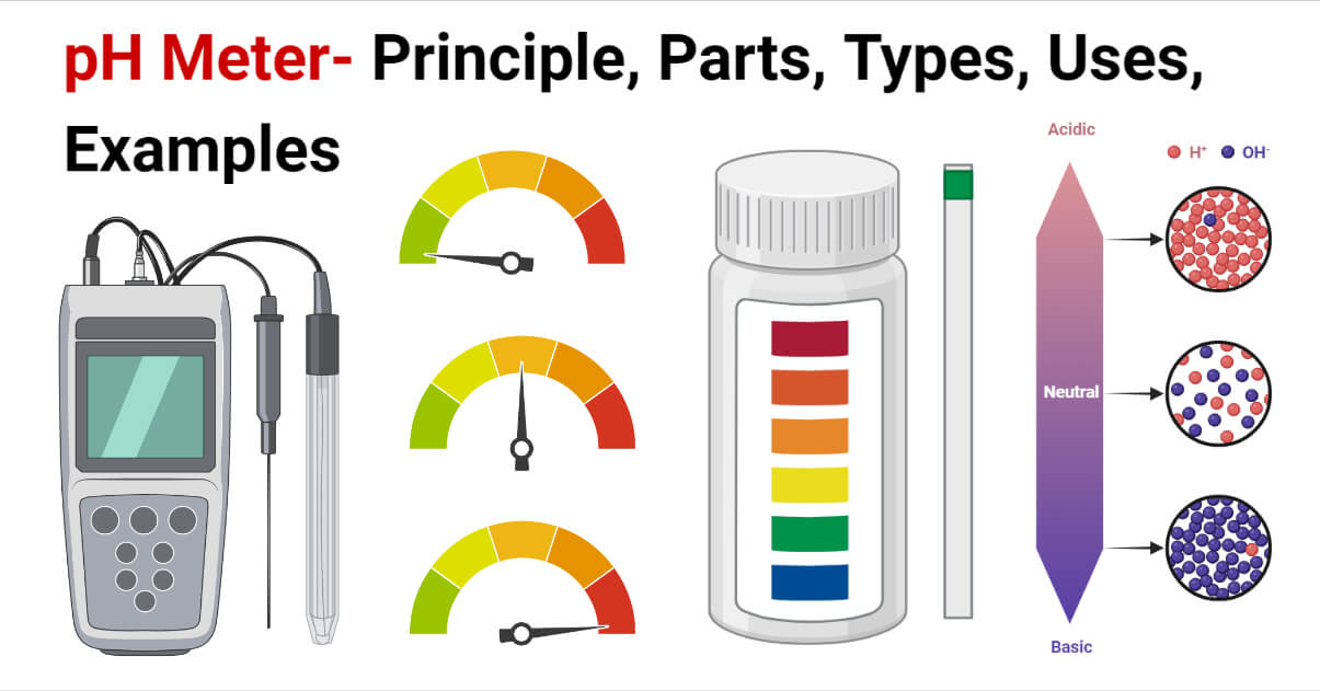 pH Meter