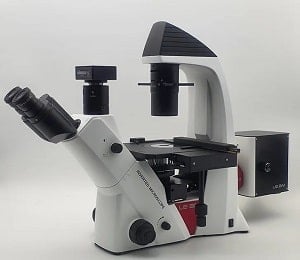 Leamsol倒置荧光显微镜