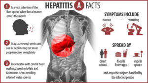 甲型肝炎病毒的临床表现