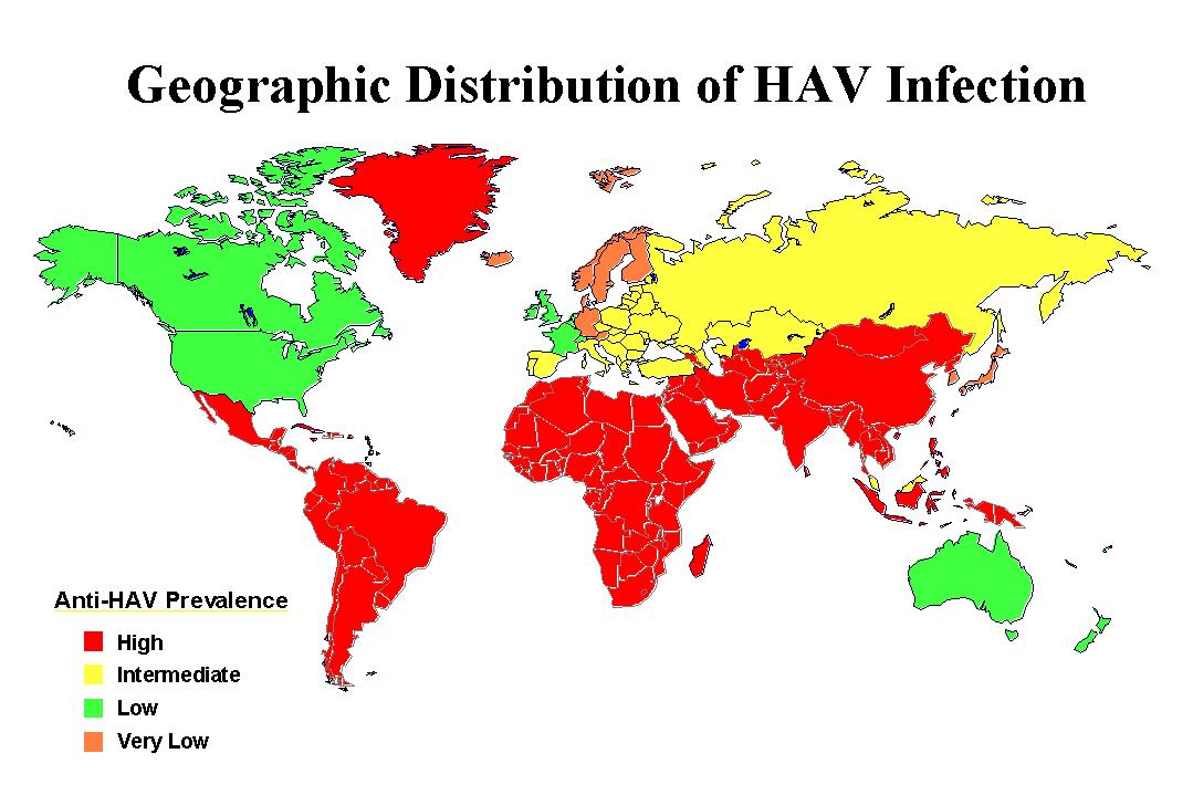 甲型肝炎病毒的流行病学