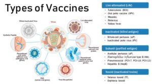 疫苗 - 介绍和类型
