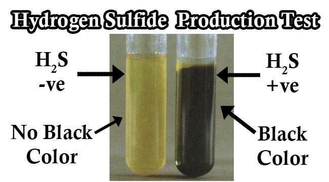 结果解释硫化氢（H2S）生产试验