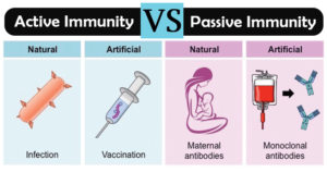 活性差异e Immunity and Passive Immunity