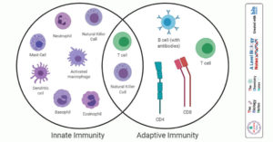 先天免疫与适应性免疫的区别