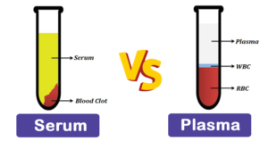 血清和血浆之间的差异