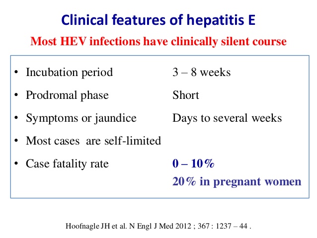 戊型肝炎的临床表现