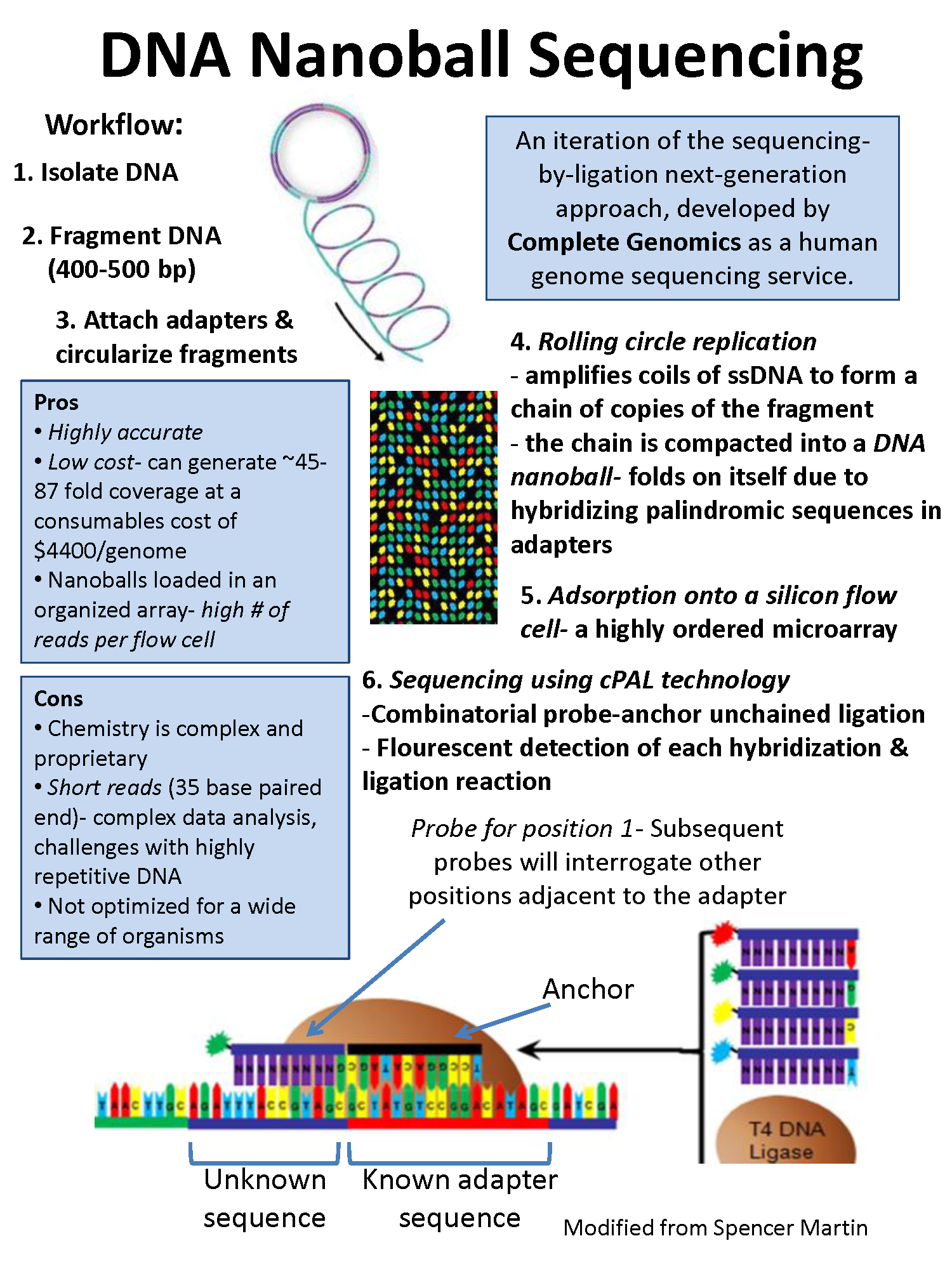 nanoball DNA测序