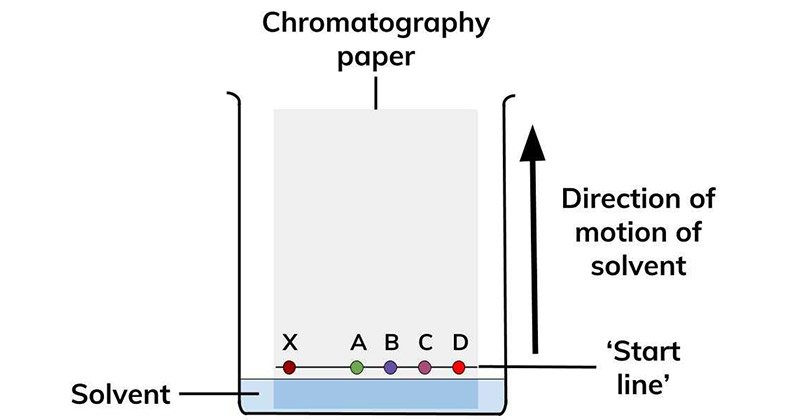 纸色谱法