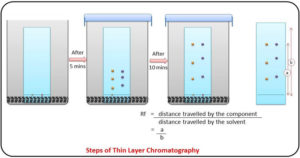 薄层色谱法（TLC）的过程