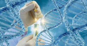 真核DNA分离方案