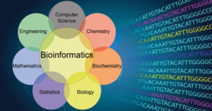 生物信息学。介绍和应用