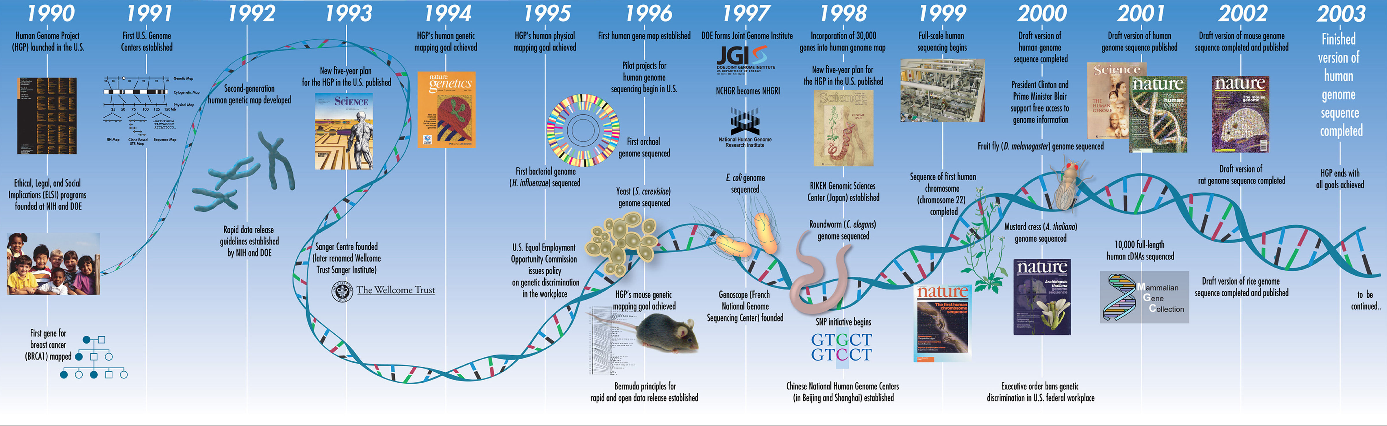人类基因组计划时间表