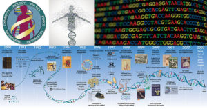 人类基因组计划