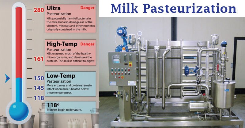 牛奶杀粉 - 方法，步骤，意义