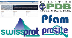 蛋白质数据库 - 类型和重要性