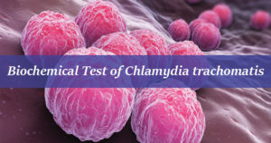 Chlamydia Throcomatis的生化试验