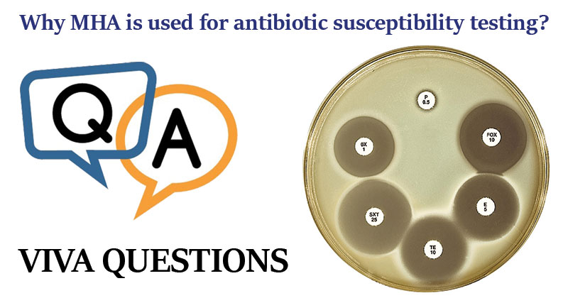 为什么MHA用于抗生素易感性测试