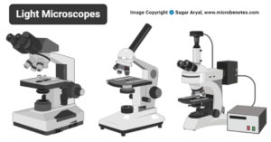 光学显微镜图