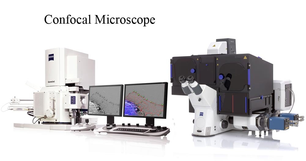 蔡司共聚焦显微镜