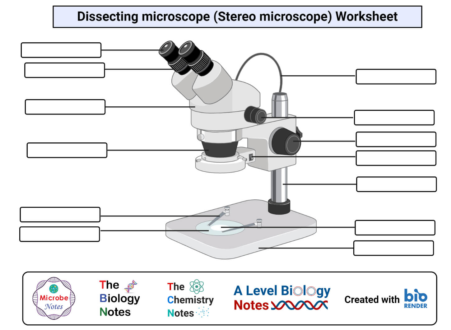 解剖显微镜(立体显微镜)工作表
