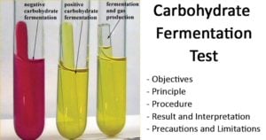 碳水化合物发酵试验