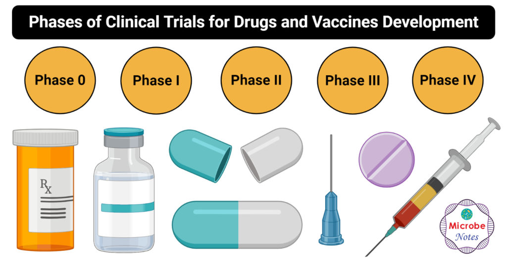 药物和疫苗开发的临床试验阶段
