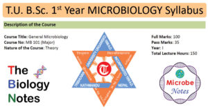 理工大学学士学位第一年一般微生物学课程大纲(尼泊尔)