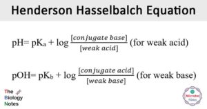 Henderson-Hasselbalch方程式