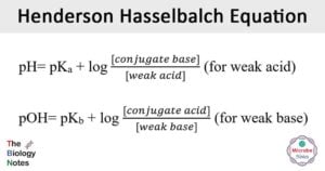 Henderson-Hasselbalch方程式