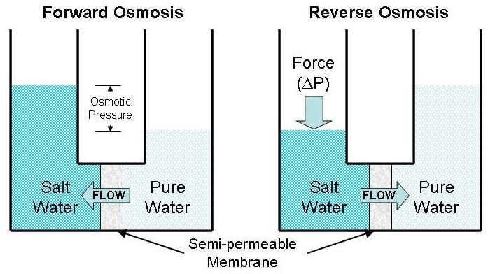 反渗透和正向渗透