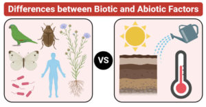 生物与非生物因素之间的差异（生物与非生物因子）