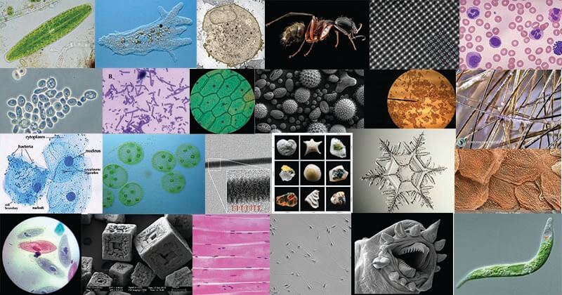 这26件事如何在显微镜下看起来像