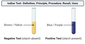 碘试验-定义，原则，程序，结果，用途