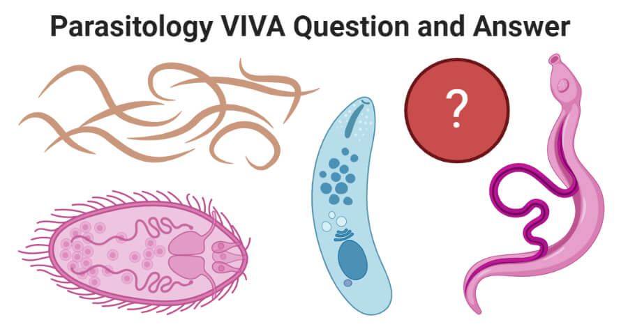 寄生虫学VIVA问答