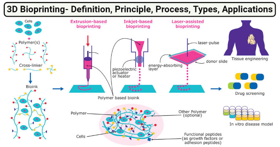 3D生物打印-定义，原理，过程，类型，应用