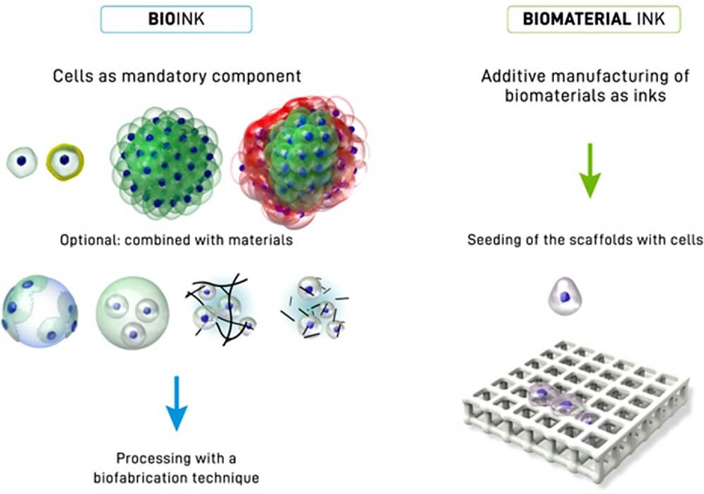 Bioinks