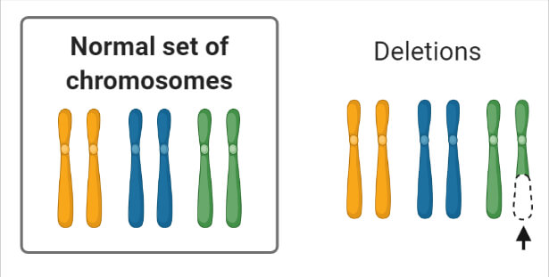 染色体突变缺失