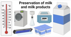 保存牛奶和奶制品