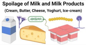 牛奶及奶制品(奶油、黄油、奶酪、酸奶、冰淇淋)变质