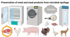 防止肉类和肉制品因微生物而变质的保鲜