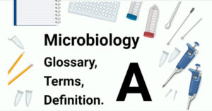 微生物学词汇表，术语和定义