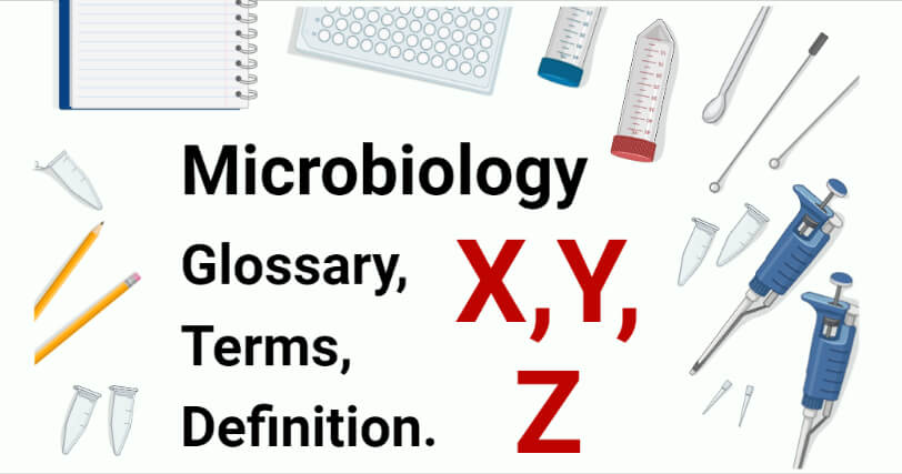 微生物学相关词汇表，X，Y和Z的术语和定义
