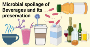 饮料的微生物腐败及其保鲜