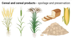 谷物和谷物制品的微生物腐败和保鲜