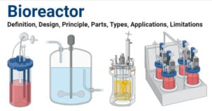 Bioreactor