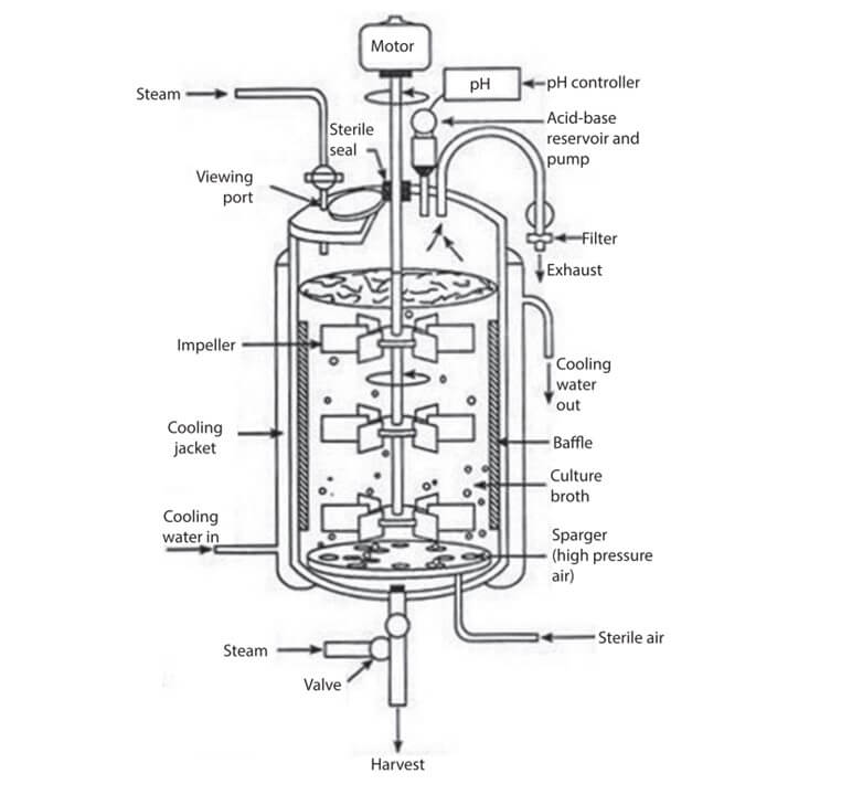生物反应器图